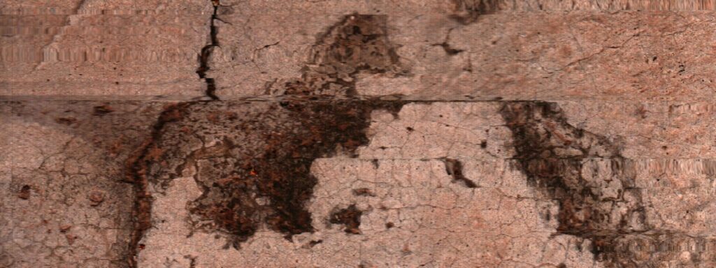 El revestimiento rosado se abre en manchas pardas y una grieta vertical.