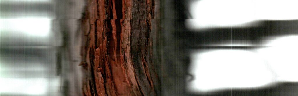 La textura vertical de una corteza aparente emerge entre franjas del escaneo.