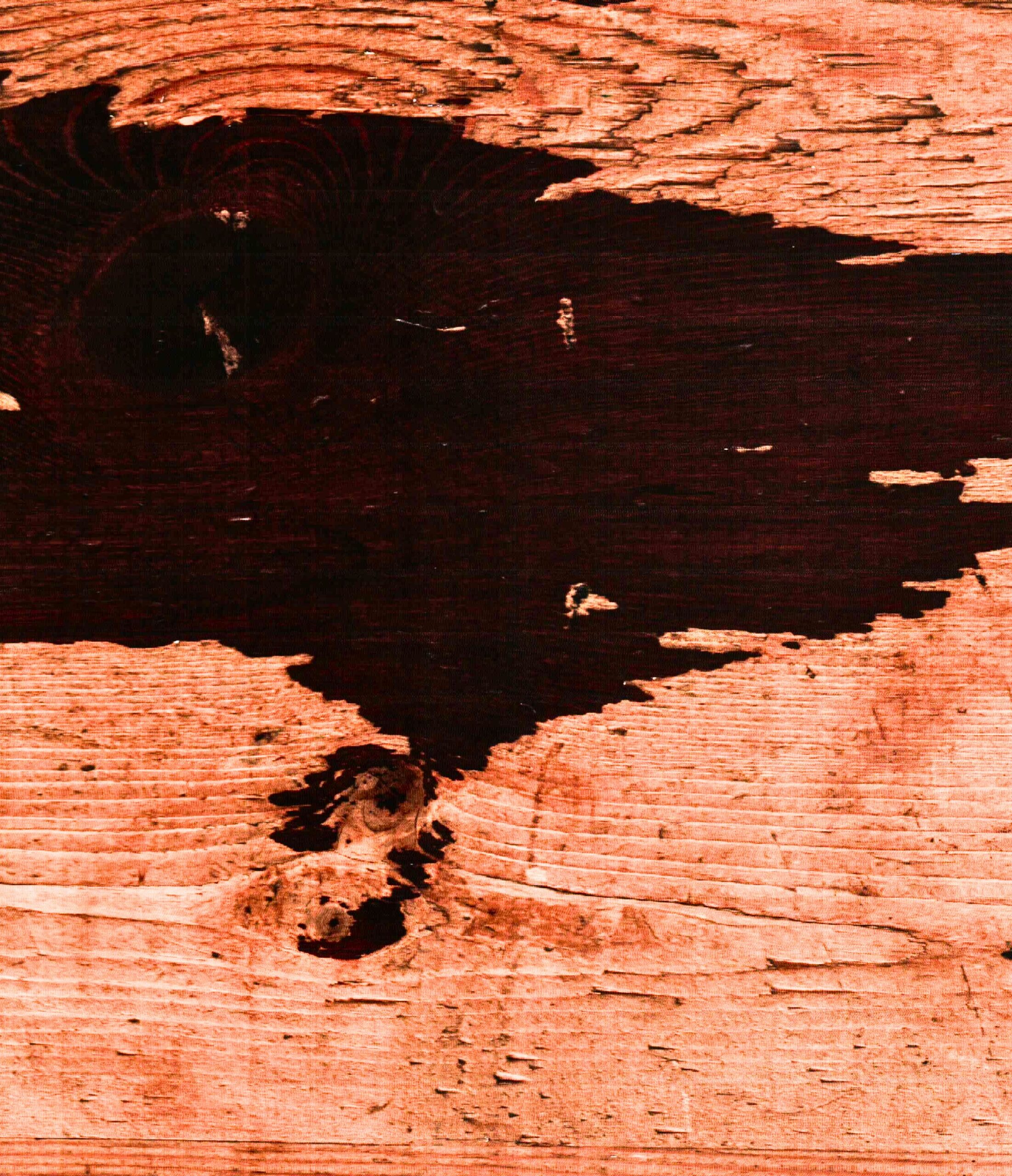 ar.00065