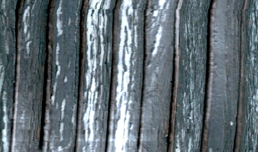 líneas oscuras y claras recorren una superficie estriada y hacen visible su relieve vertical.