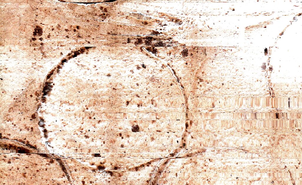 un contorno circular oscuro reúne poros, manchas y pequeñas marcas sobre una base clara.