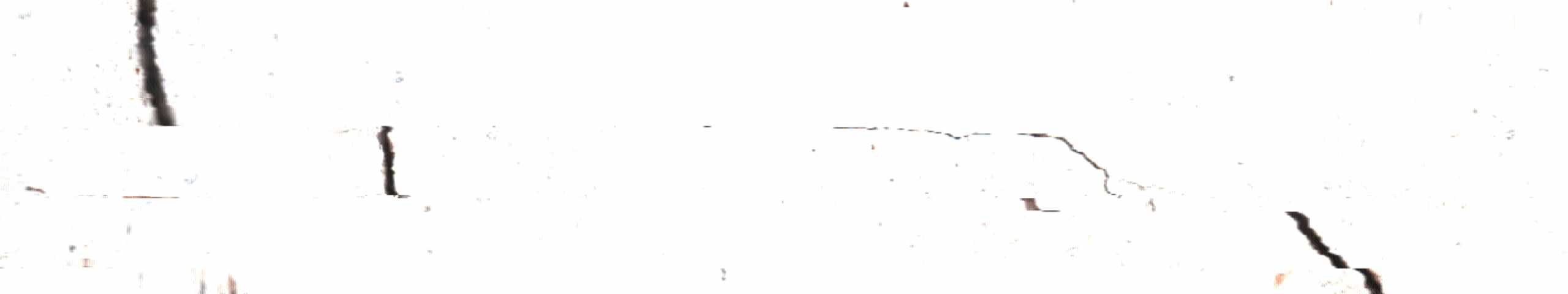pequeñas líneas oscuras y una grieta recorren un campo blanco de lectura casi vacía.