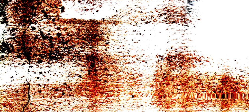 manchas rojizas y oscuras se agrupan sobre una base clara de textura granular.
