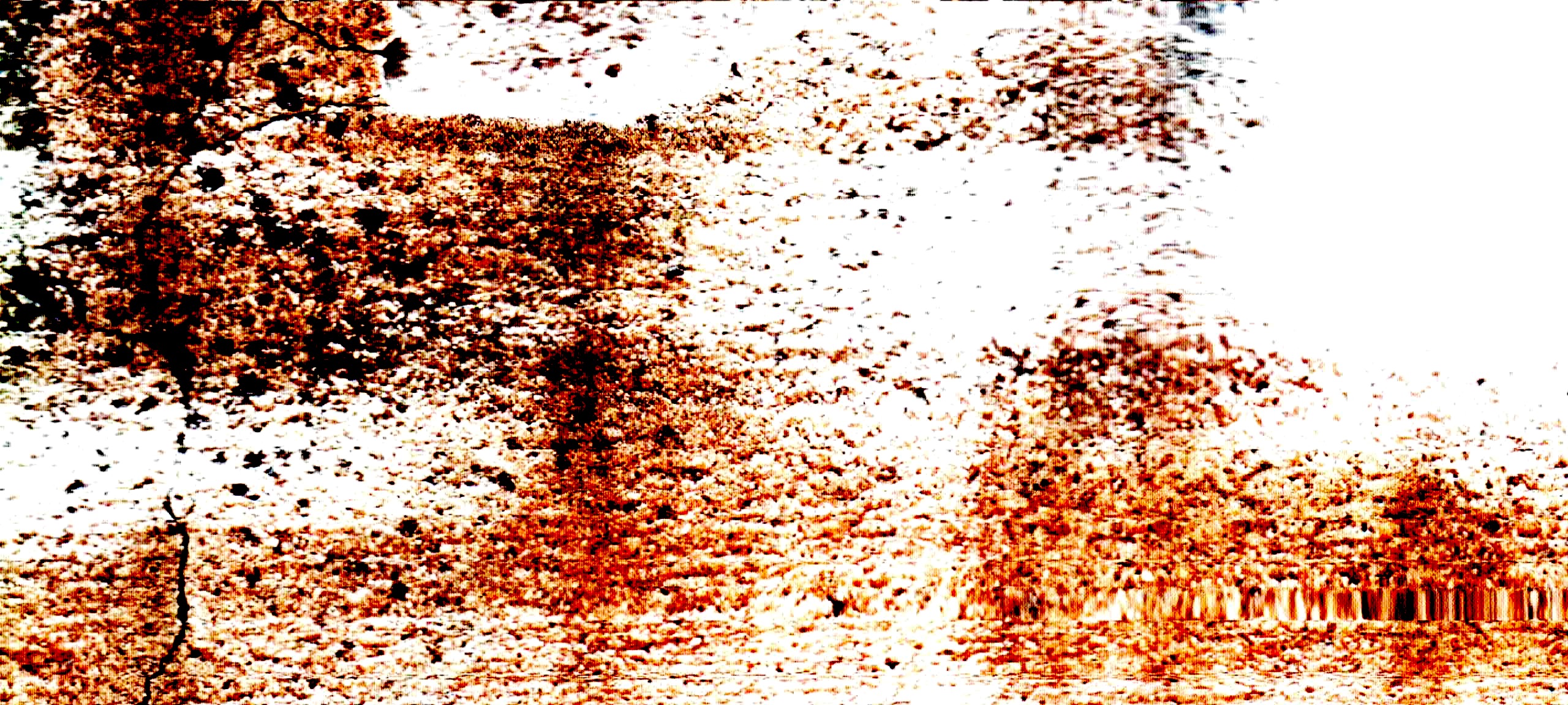 manchas rojizas y oscuras se agrupan sobre una base clara de textura granular.